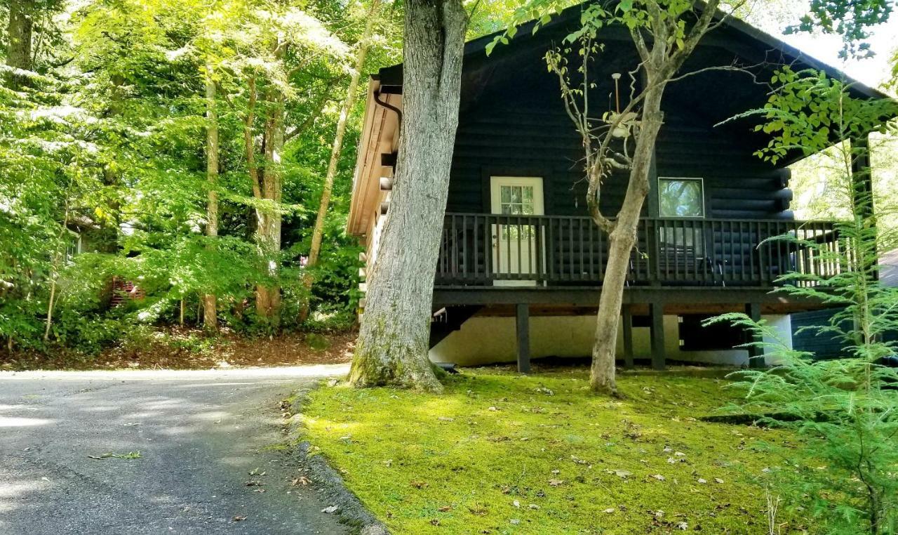 Tanglewood Motel And Log Cabins แมกกีวาเลย์ ภายนอก รูปภาพ